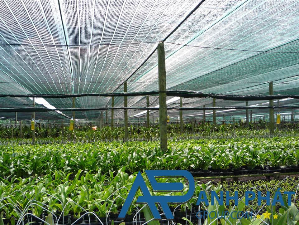Ứng dụng của lưới che nắng cho vườn