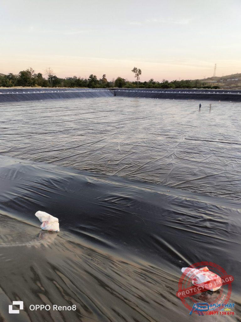 Bạt nhựa lót hồ tôm Anh Phát Group.
