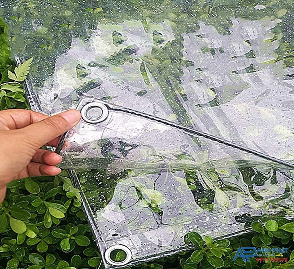 Bạt nhựa trong suốt thường được ưa chuộng trong các không gian cần ánh sáng tự nhiên và bảo vệ khỏi mưa