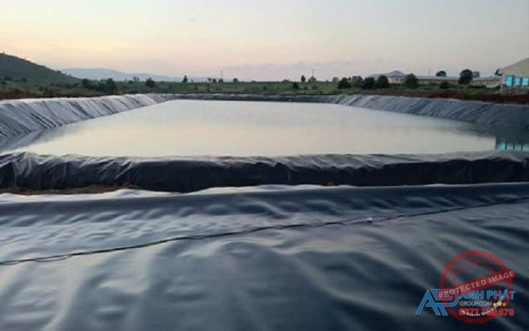 Thi công lót bạt chống thấm hồ nuôi tôm.