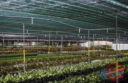 Màng che nắng Thái Lan thương hiệu Anh Phát Group.