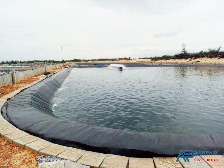 Tấm trải ao hồ chứa nước thương hiệu Anh Phát Group