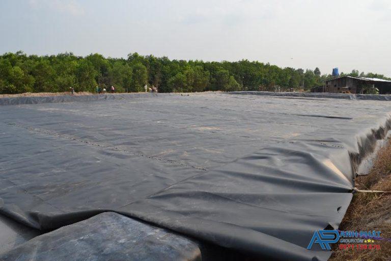 Bạt PE chống thấm hồ đựng nước thương hiệu Anh Phát Group